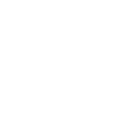 Nae Nae's